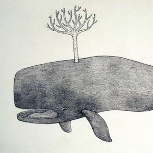 Tree Whale and other drawings